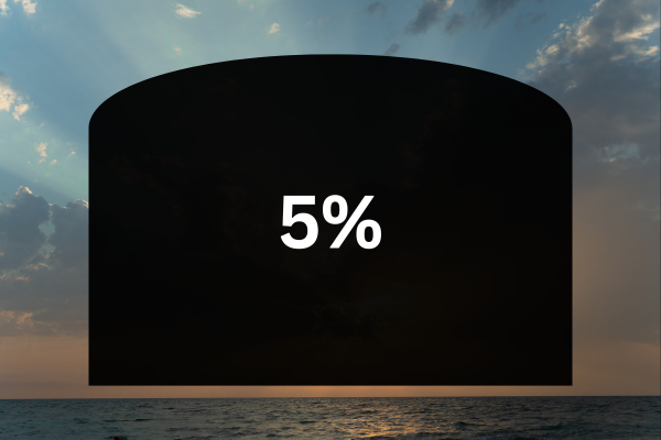 5 percent tint shade