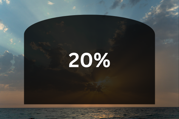 20 percent tint shade
